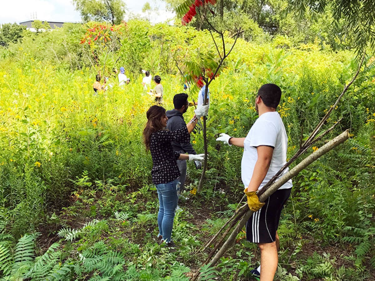 Cod Prairie New 'Prairie Project' Class Connects Writing with Nature | Glen Ellyn ...