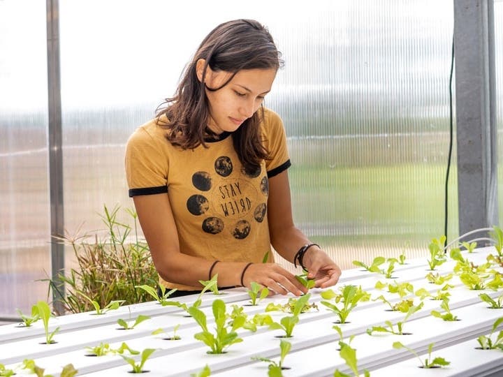 "This certificate program really shows what community colleges are all about—creating programs that match what the workforce and industries need," Clement said.