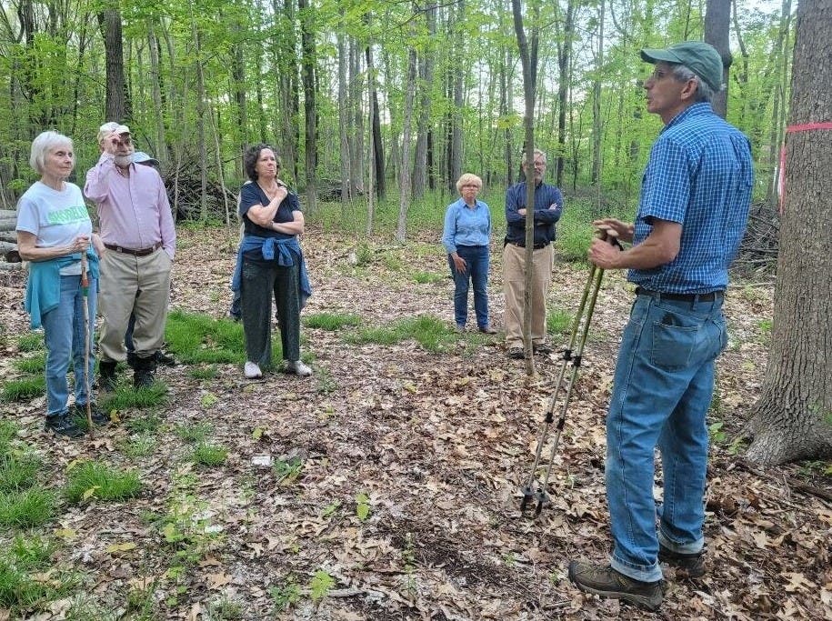 Tree Identification Hike