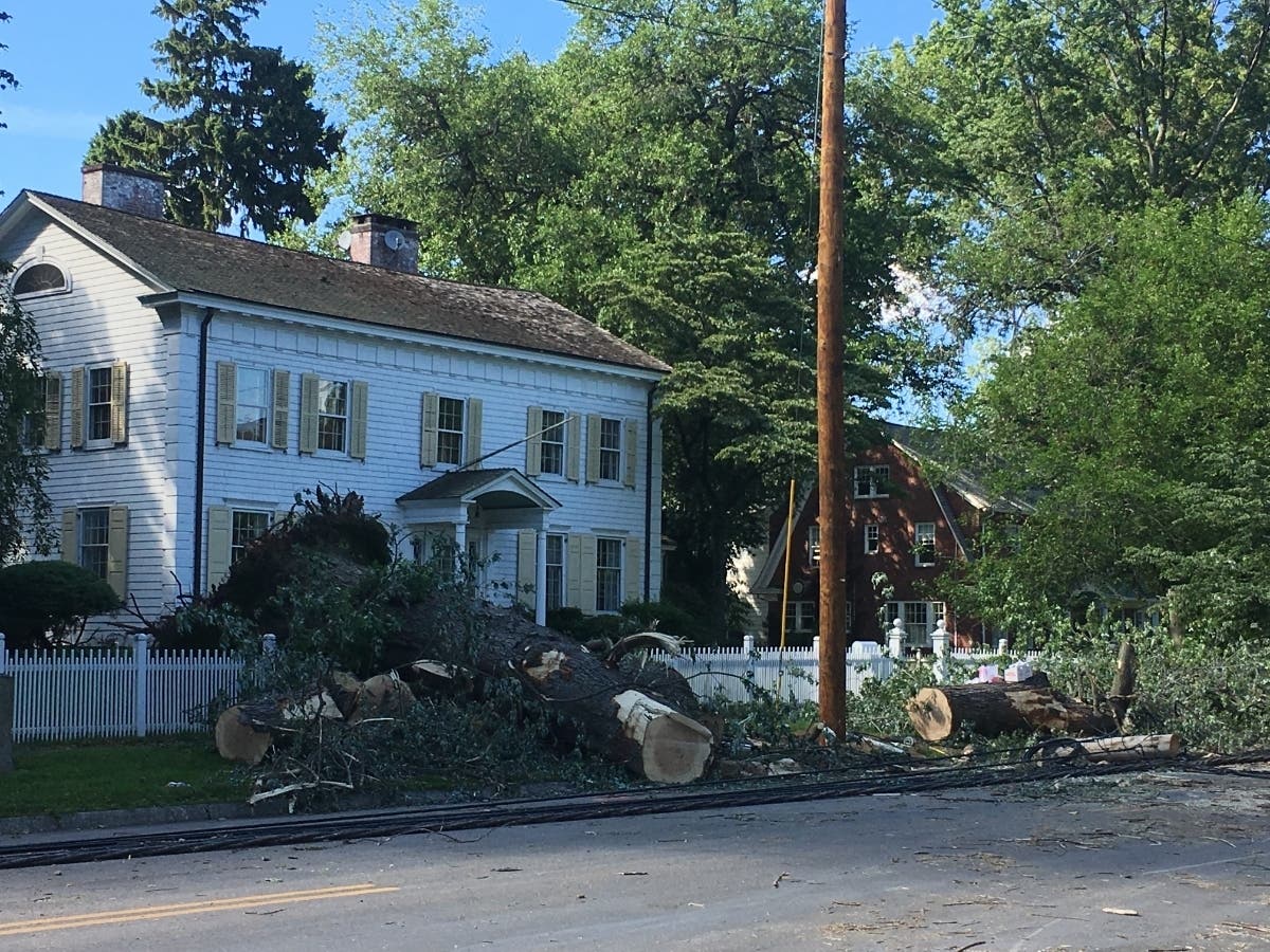 A tree took down nine utility poles on Old Post Road as a result of a storm Sunday.