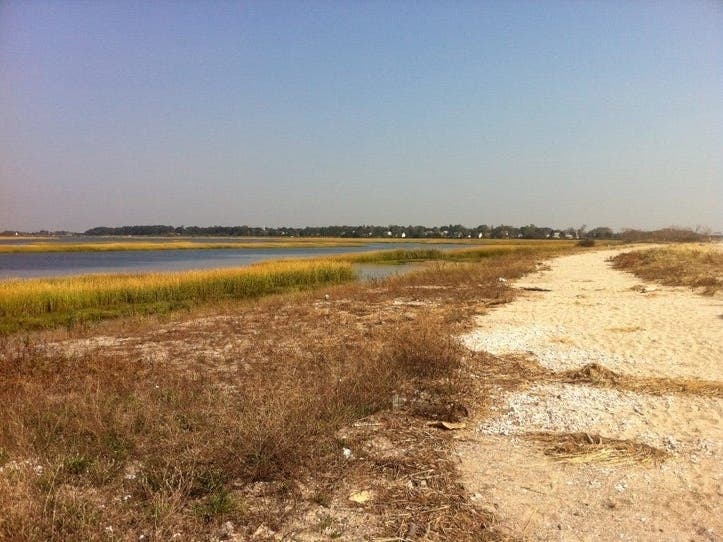 The Great Meadows Marsh has received $1 million for restoration.