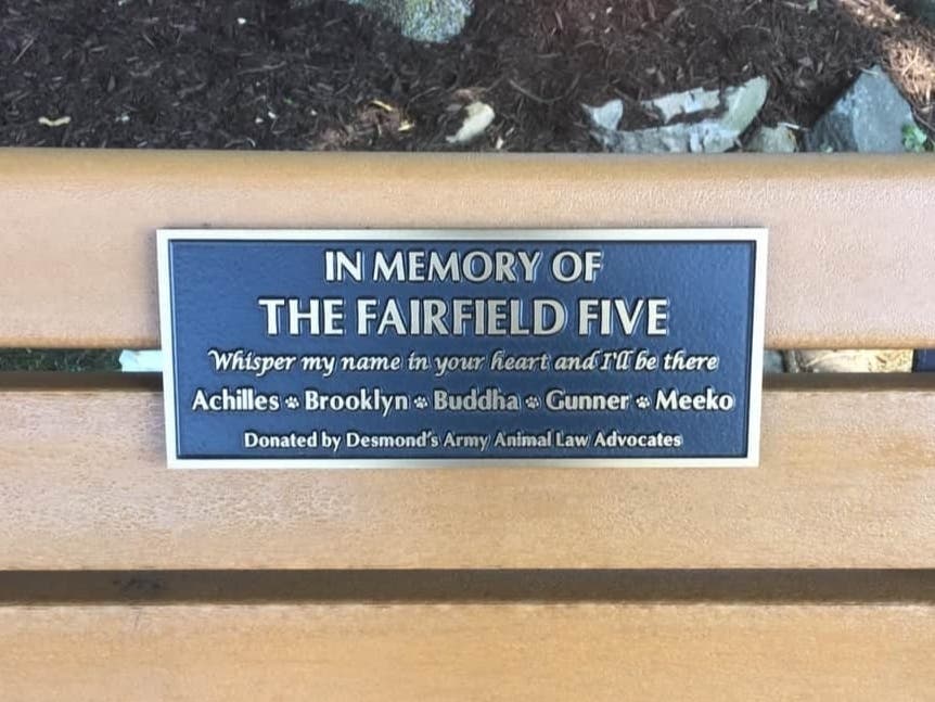 A plaque memorializes five dogs who died in 2018 in Fairfield.