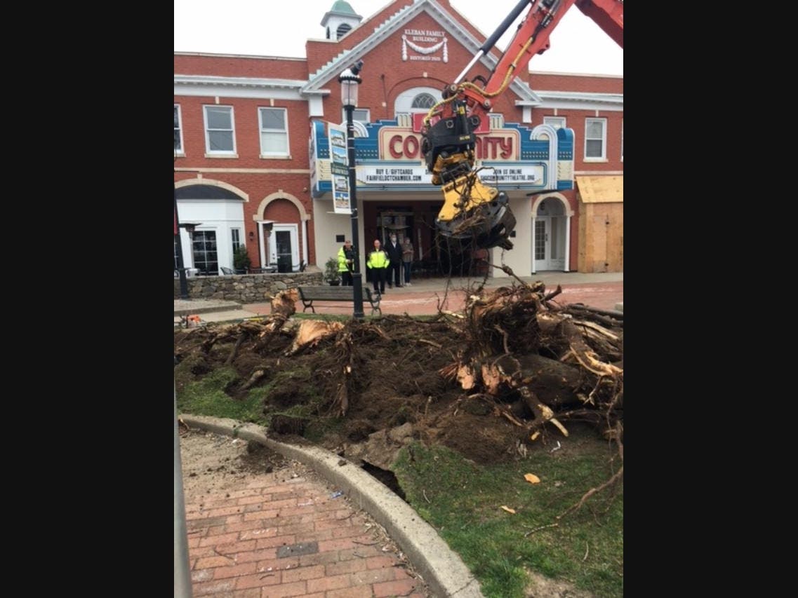 The remnants of the cherry trees at Post and Unquowa roads are seen April 9.