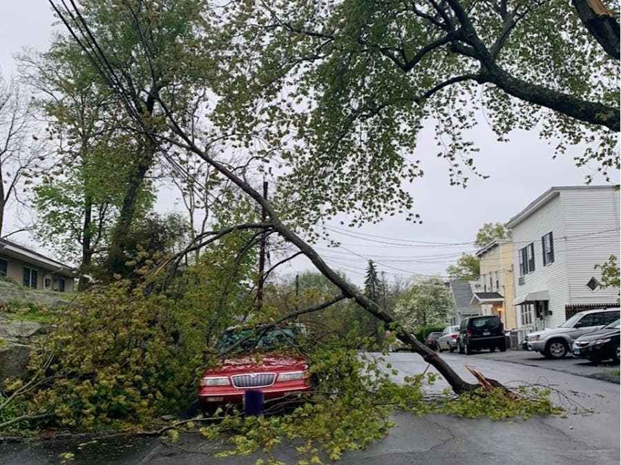 A large tree limb is seen Tuesday on a car in Fairfield.