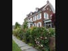 Flowers bloom Friday at 648 Harbor Road.