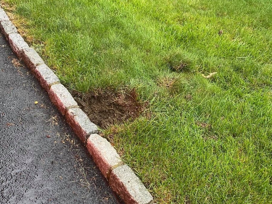 Firefighters responded to a lightning strike Thursday on Brighton View Road.