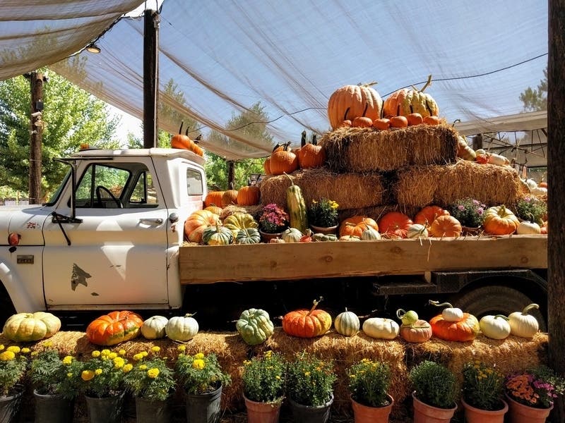 Fairfield's annual Harvest Market will return this weekend.