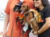 Halloween Costume Dog Parade participants Alma (left) and Archie show off their costumes after the event.