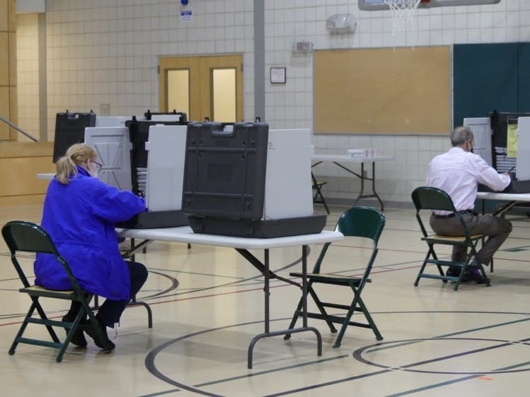 Voters cast their ballots Nov. 2 at McKinley Elementary School.