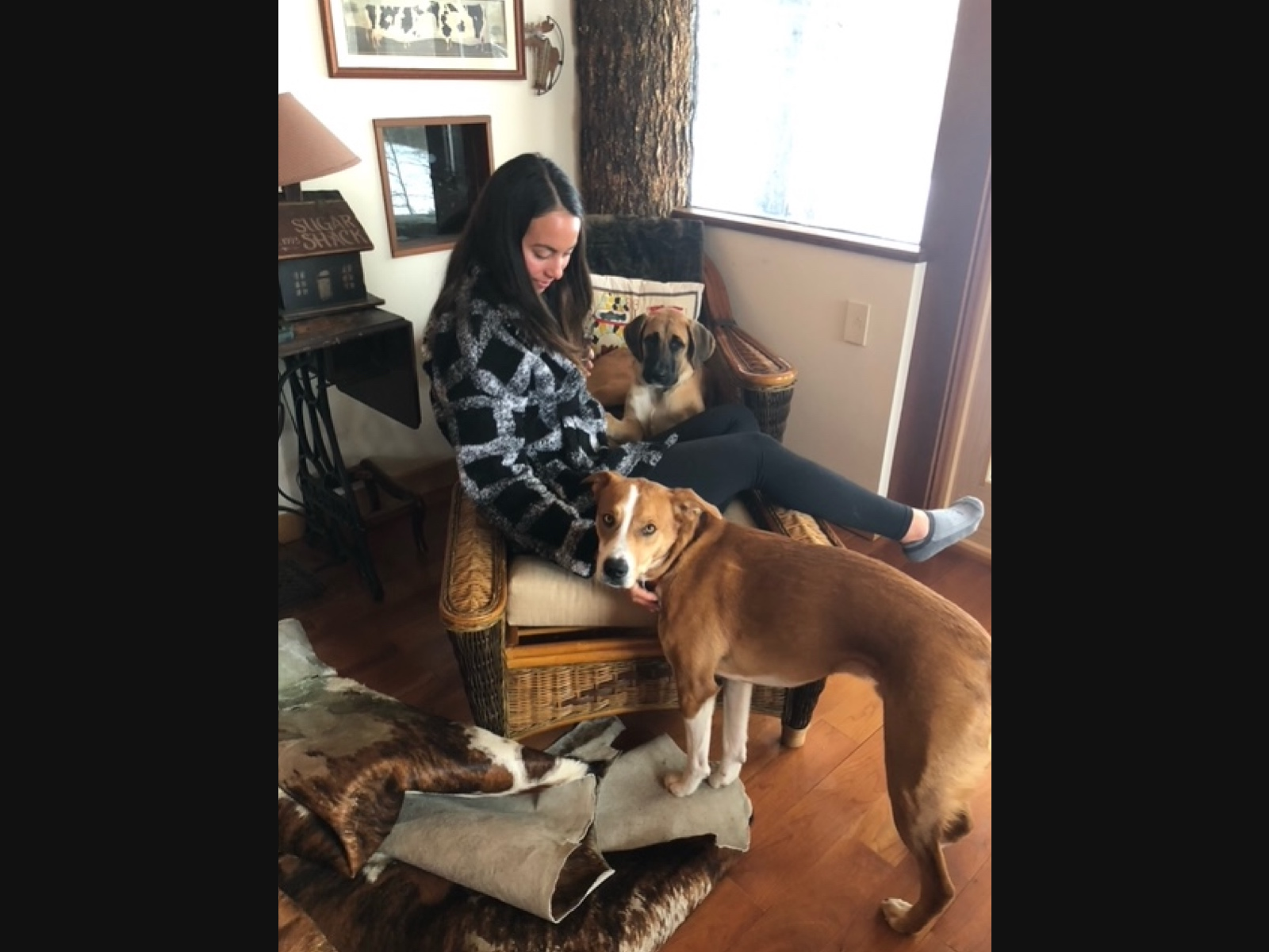 Melissa Miller was hiking with dogs Oscar and Misty May (seated) the day of her rescue.