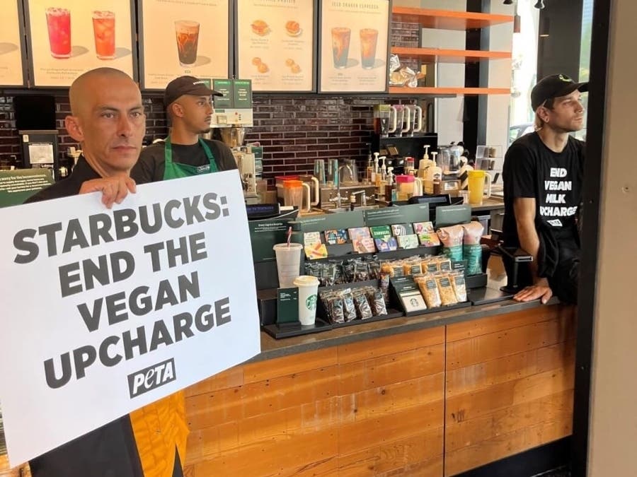 Two men are glued to a Starbucks counter Wednesday in downtown Chicago.