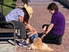 The Lutheran Church Charities K-9 Comfort Dog Ministry was deployed this week to Monterey Park.