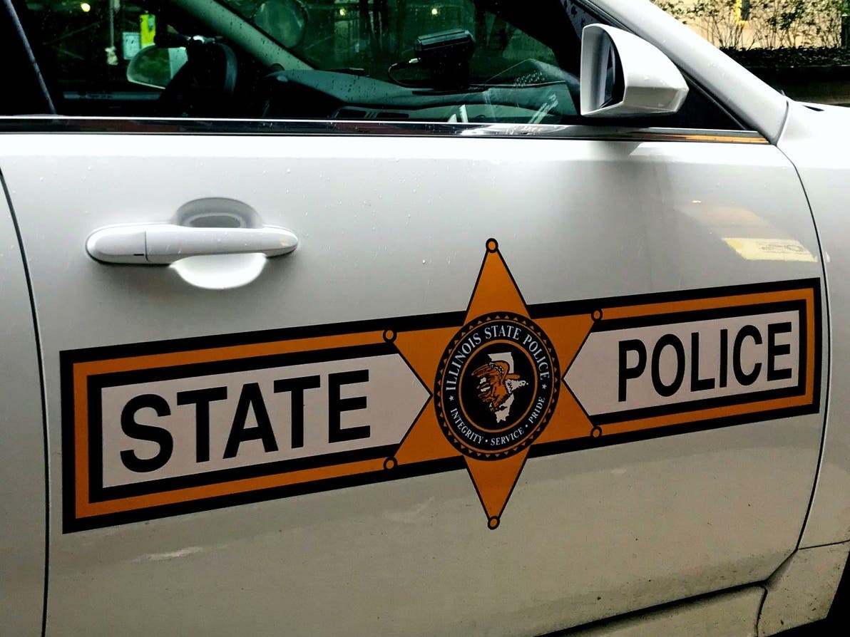 Two people died Sunday morning in a rural Will County crash, according to police.