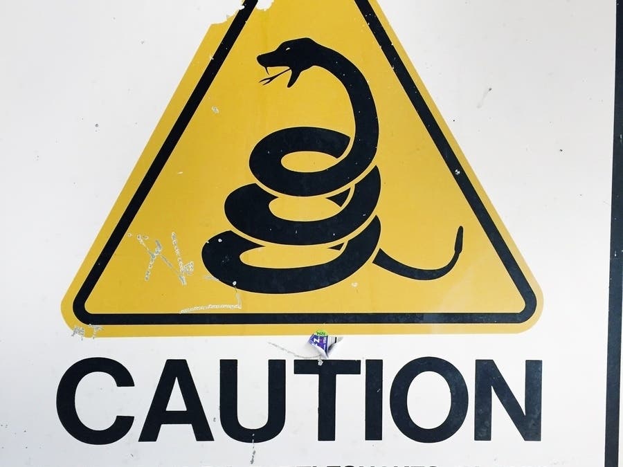 NorCal Woman Is  CA's Third Person To Die From A Snake Bite This Year: Report