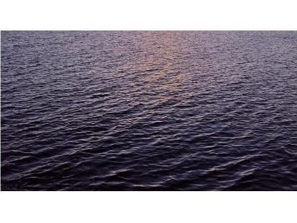 The abundance of phytoplankton can also rapidly alter the color of the water, NASA reported.