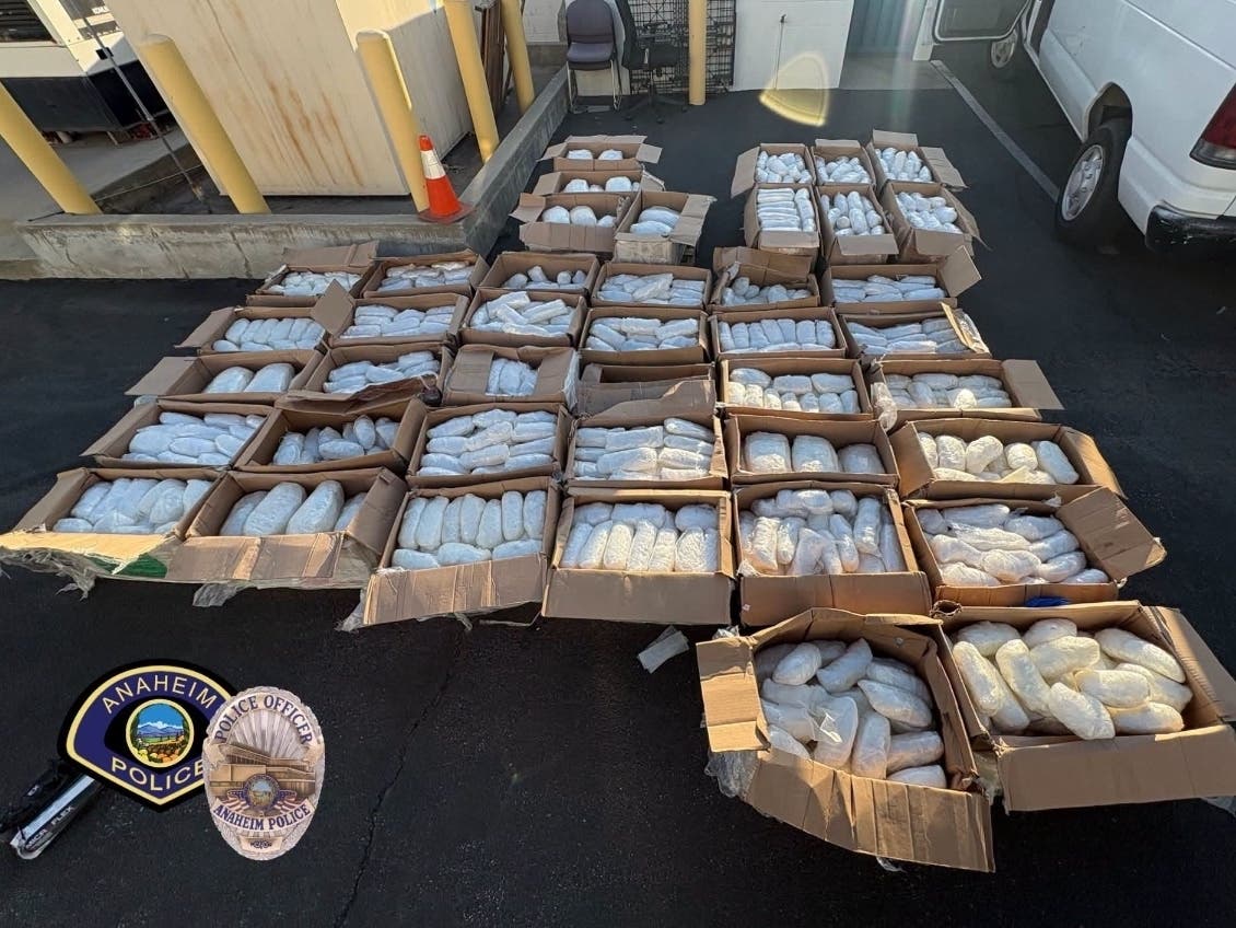 The probe resulted in the seizure of thousands of pounds of drugs, according to police.