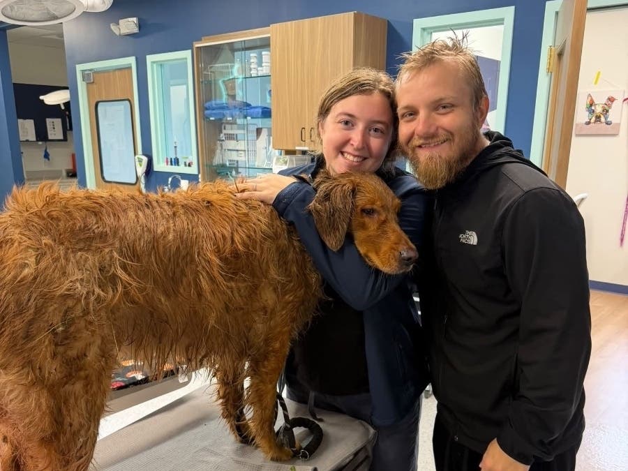 Bear is reunited with his owners, McKinley and Sebastian Sochacki.