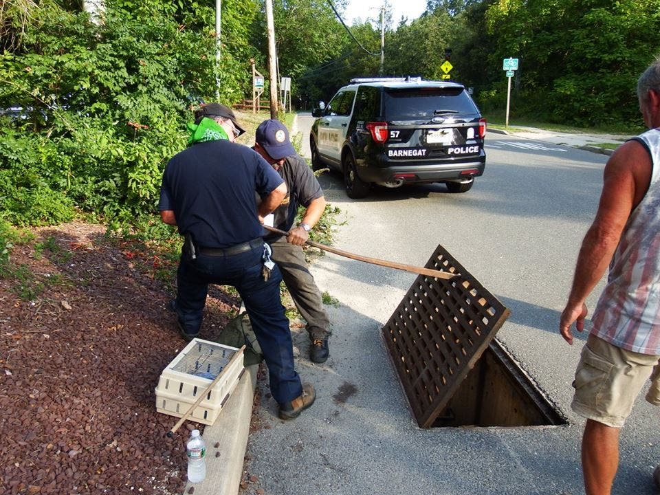 News small post card thumbnail