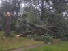 There were a lot of downed trees and wires in the Old Orchard neighborhood in Cherry Hill Monday night.