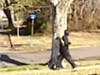 The Camden County Prosecutor’s Office has released more images of a man wanted in connection with a pair of weekend burglaries.