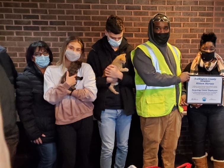 News small post card thumbnail