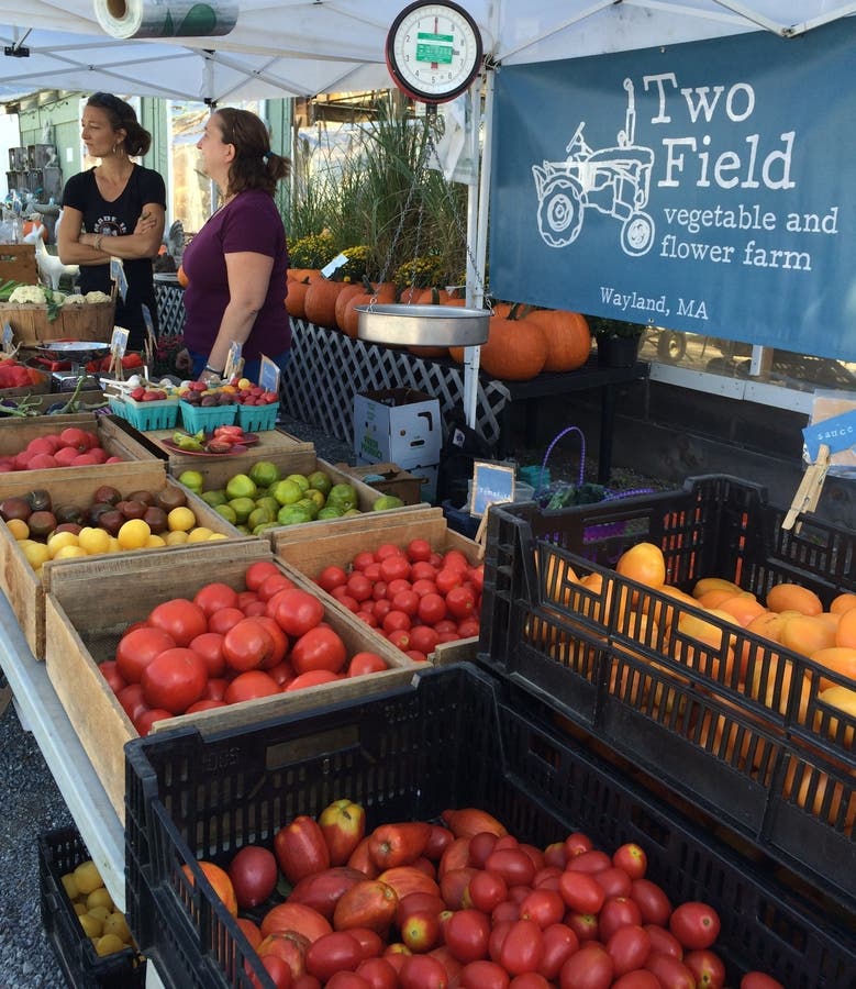 Wayland Summer Farmers' Market Opens Wayland, MA Patch