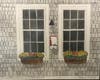 Window Boxes on the Deck at Guilford Marina, Suzanne Kriger, pen & ink, watercolor