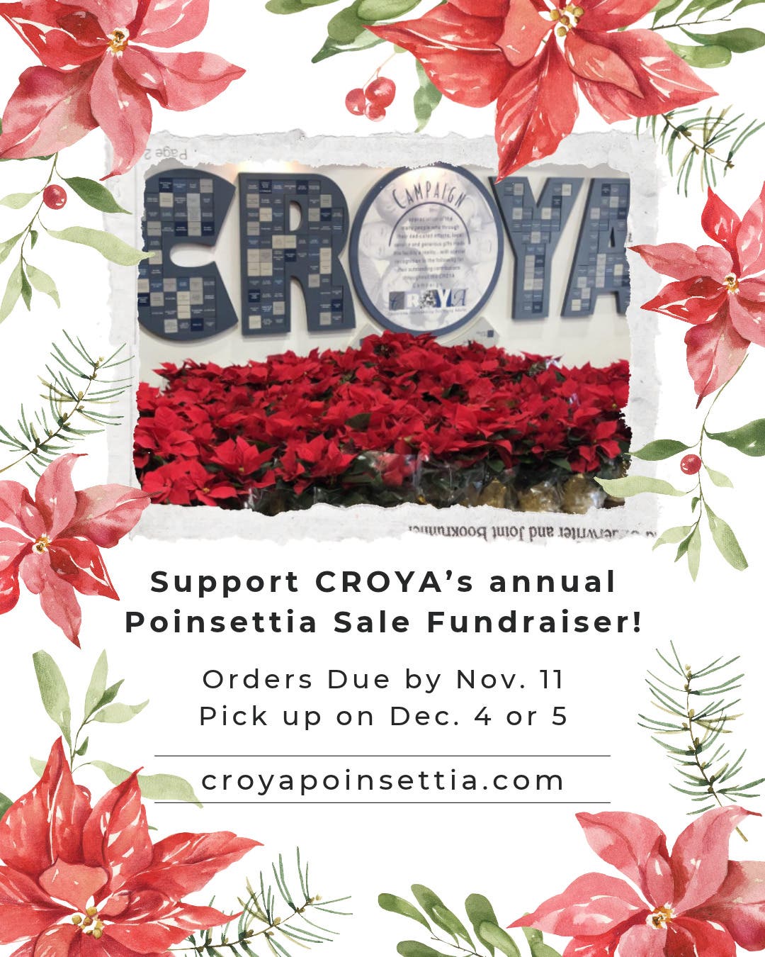 CROYA Poinsettia Sale!