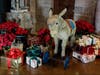 Glencairn has extended its Christmas season displays through January 31 this year.