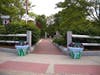 Cindy Previtt's Ladybugs and Grass Flower Pots at the entrance to park in Oakdale Square.