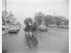 Horse & Covered Wagon on Dempster Street c.1950's