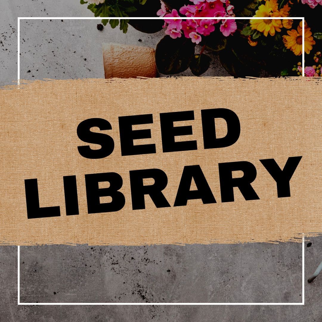 Seed Library Opens!