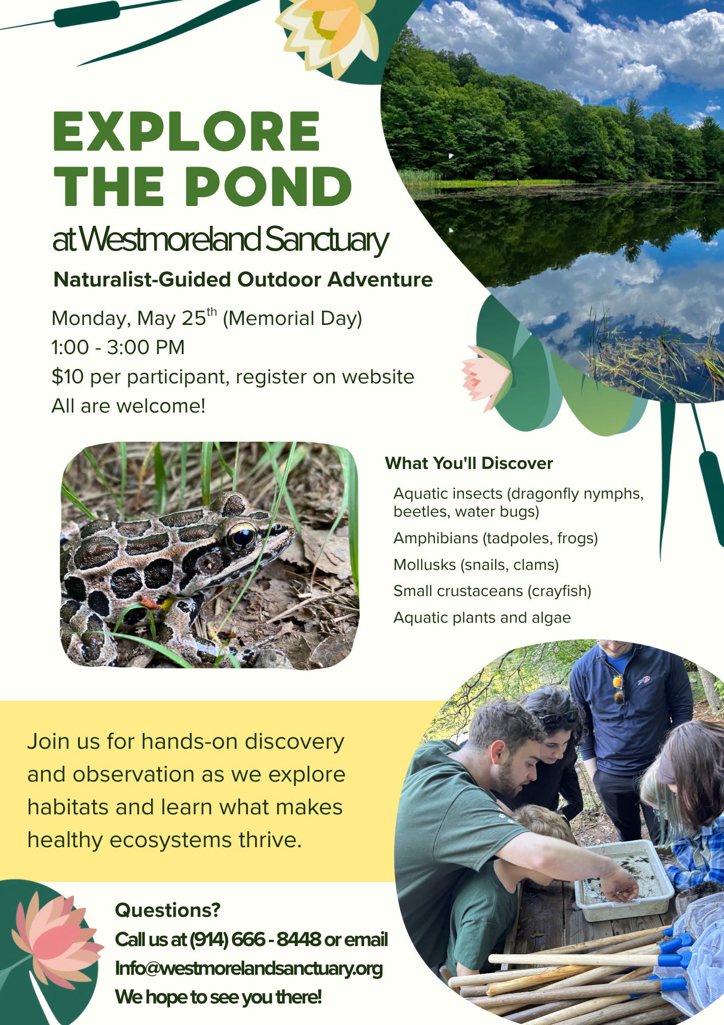 Explore the Pond at Westmoreland Sanctuary