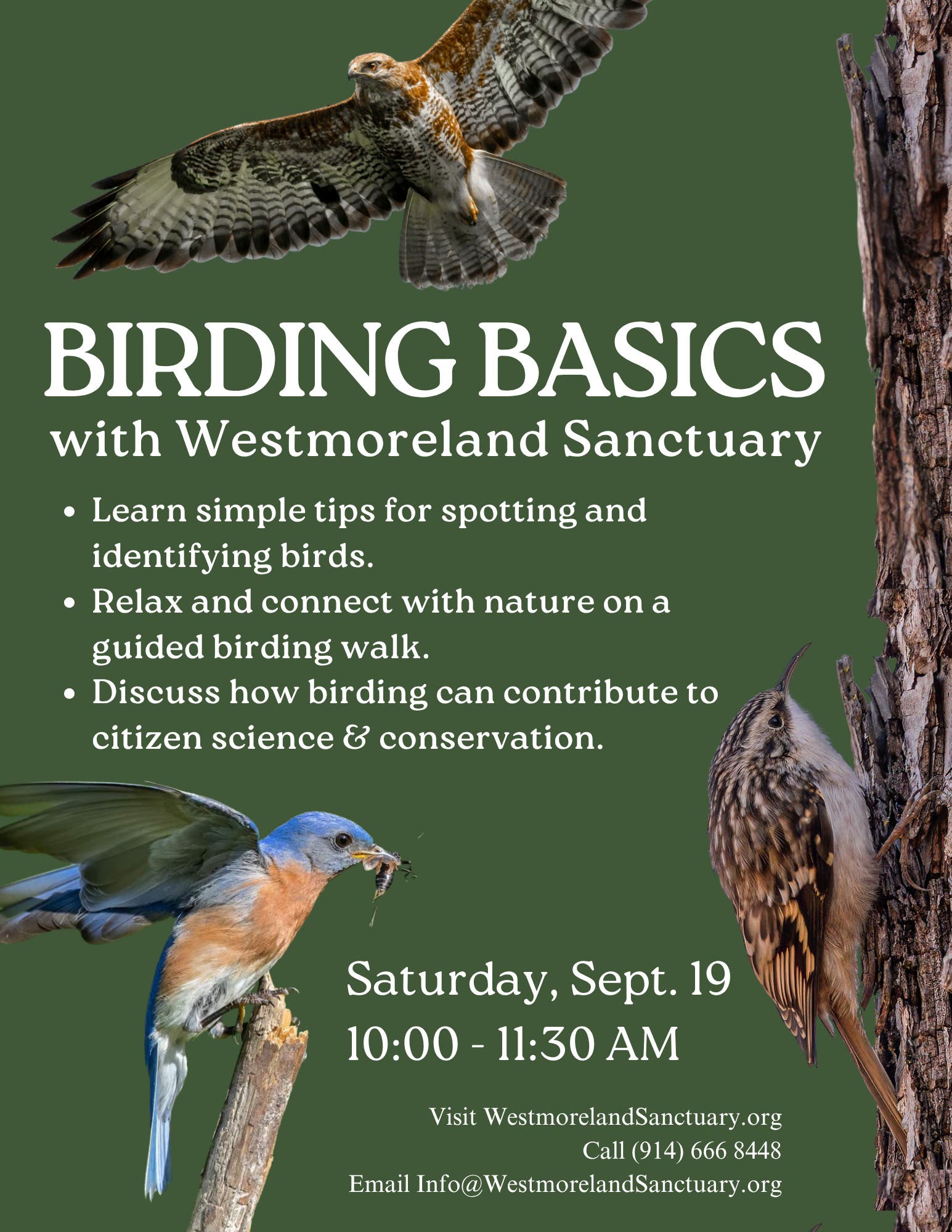 Birding Basics – Hudson River Valley Ramble