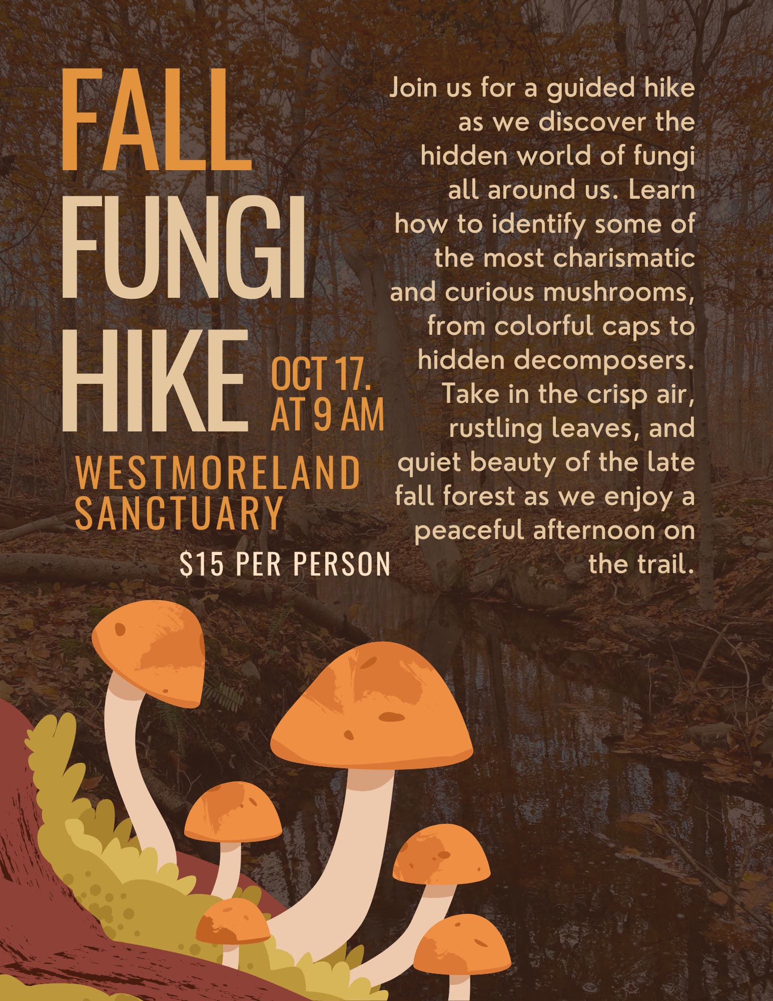 Fall Fungi Hike