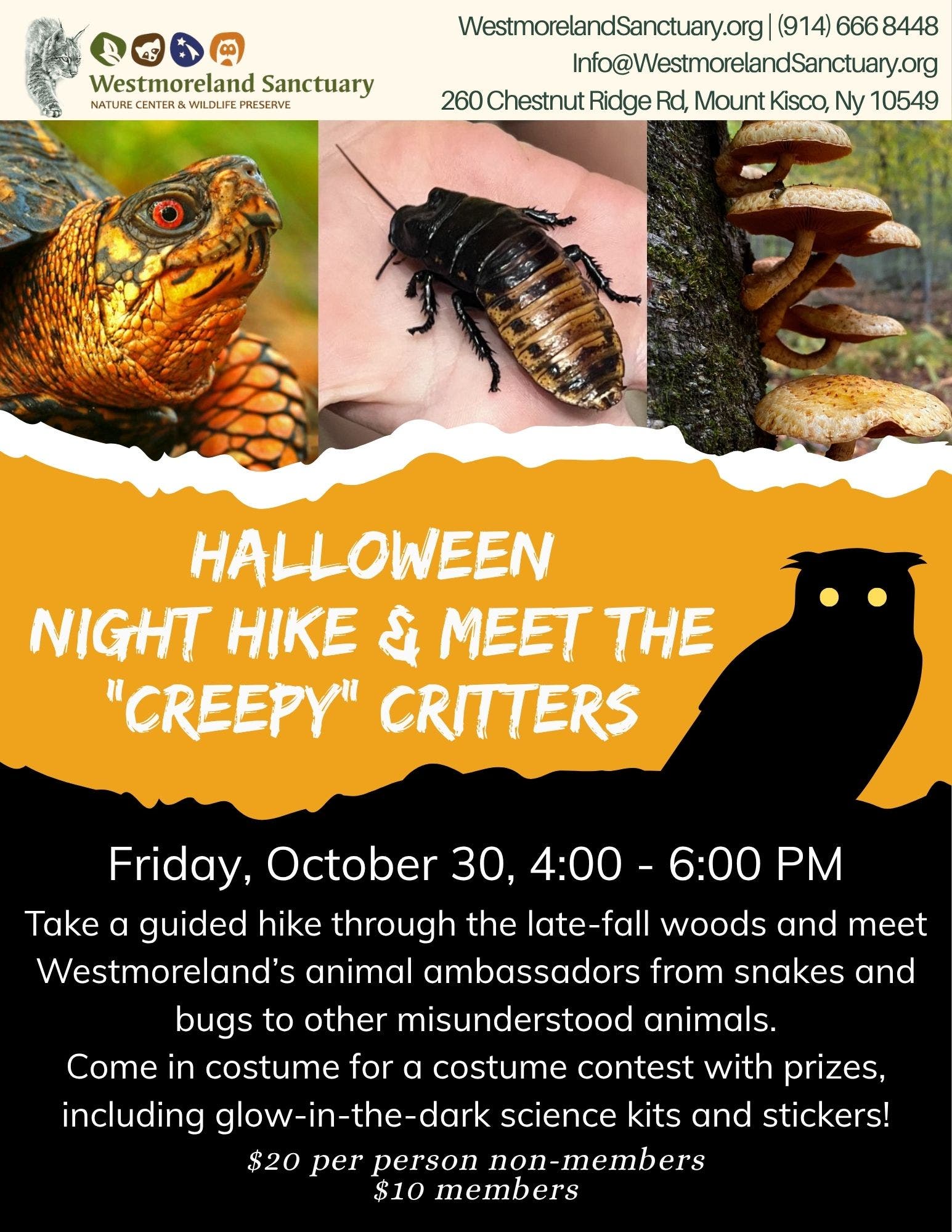 Halloween Night Hike & Meet The "Creepy" Critters