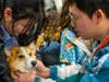 People loving a dog.