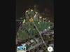 Six trees constructed of painted wood will be installed at Chandler Hovey Park. Positions are indicated by the yellow arrows.