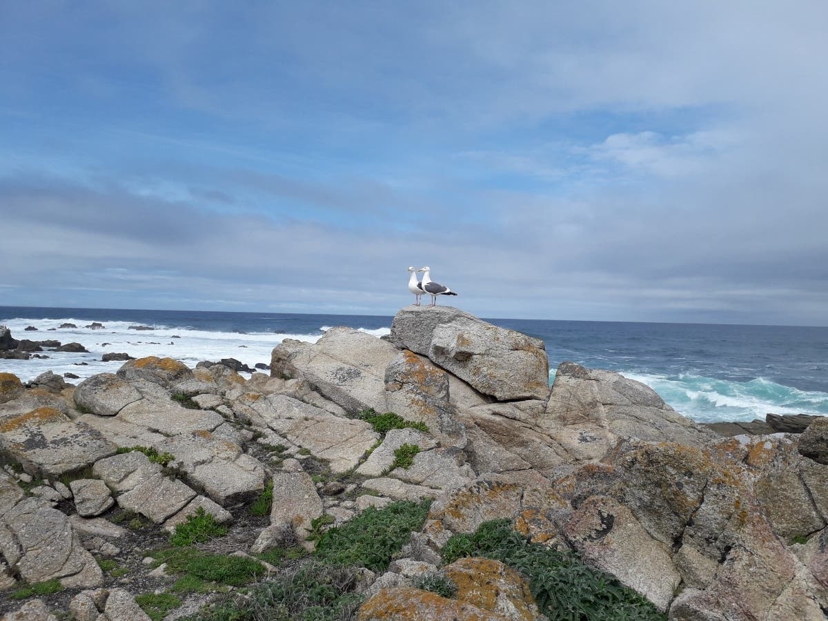 A stop along 17-Mile Drive in Monterey County.