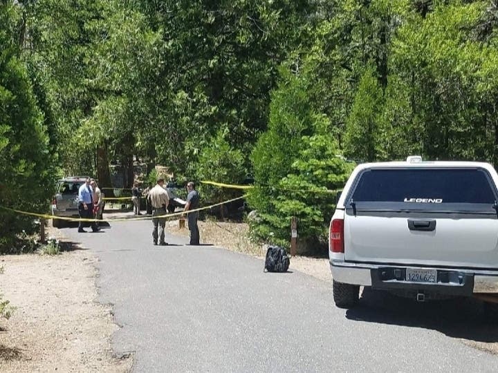 The investigation scene inside Stanislaus National Forest.