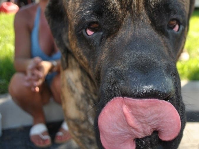 The free event takes place at Brommer Street Park, 1451 30th Avenue.