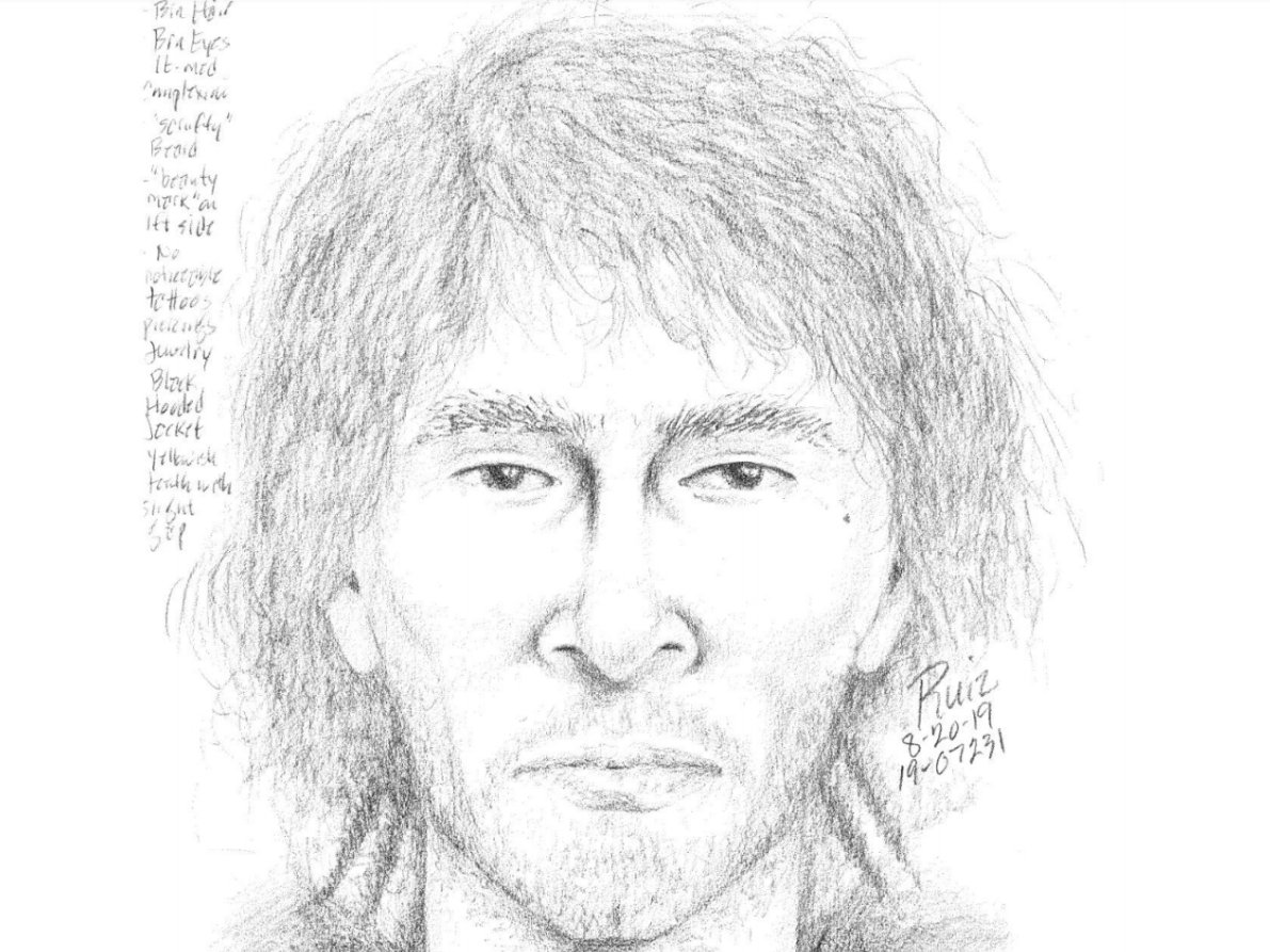 An artist's rendering of the suspect.