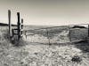 Part of a gallery of shots snapped in various Santa Cruz locales.