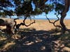 Part of a gallery of shots snapped in various Santa Cruz locales.