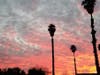 Watsonville's beauty is everywhere.