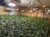 The grow in the 4000 block of Portia Street.