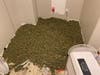 Cannabis seized during the Wildomar raid.