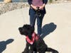 Raven, a service dog in training, with an emergency department team member at Loma Linda University Medical Center in Murrieta.