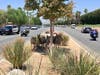 Deputies from the La Quinta Sheriff's Station provide an escort for a family of bighorn sheep.