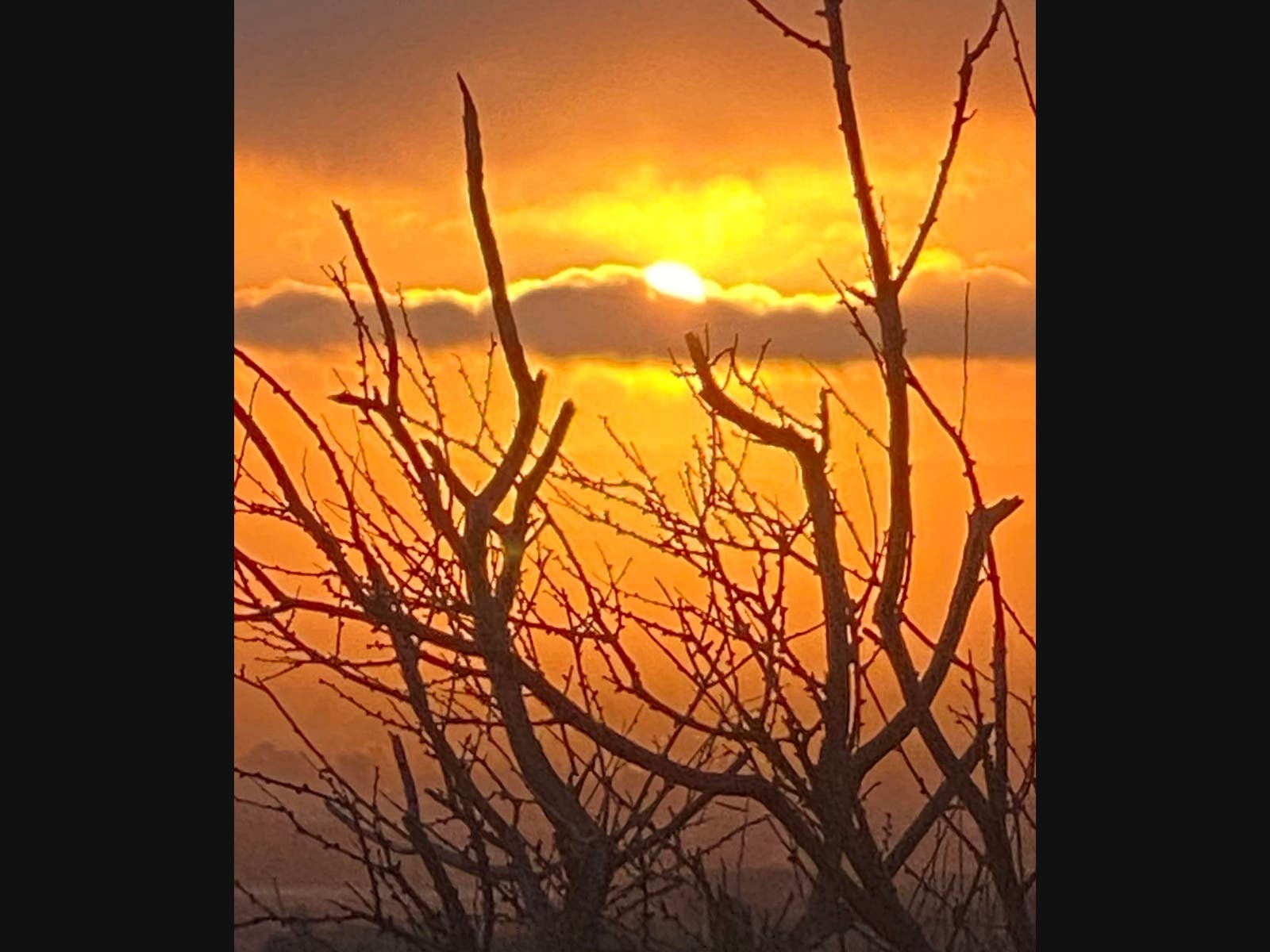 The final sunrise of 2020.